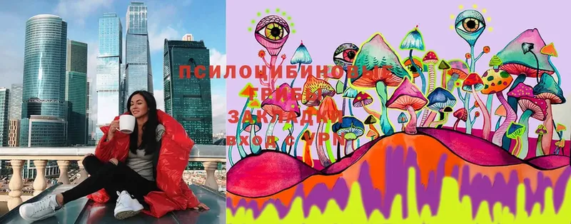 Галлюциногенные грибы Magic Shrooms  гидра   Губкинский 